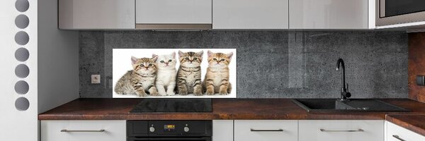 Skleněný panel do kuchynské linky Malé kočky pksh-159885002
