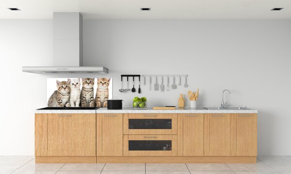 Skleněný panel do kuchynské linky Malé kočky pksh-159885002