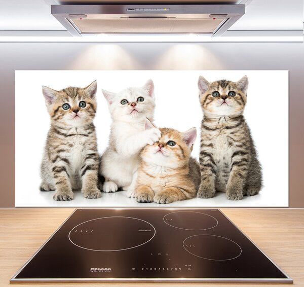 Skleněný panel do kuchynské linky Malé kočky pksh-162169974