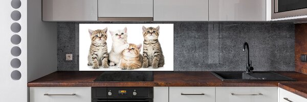 Skleněný panel do kuchynské linky Malé kočky pksh-162169974