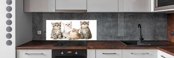 Skleněný panel do kuchynské linky Malé kočky pksh-162169974