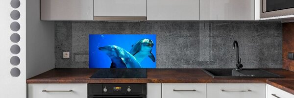 Dekorační panel sklo Dva delfíni pksh-16277956