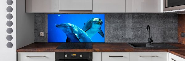Dekorační panel sklo Dva delfíni pksh-16277956
