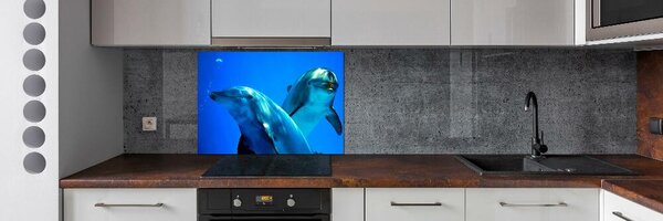 Dekorační panel sklo Dva delfíni pksh-16277956
