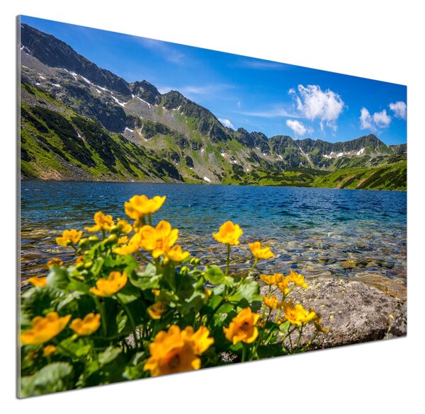 Panel do kuchyně Jezero v horách pksh-162951795
