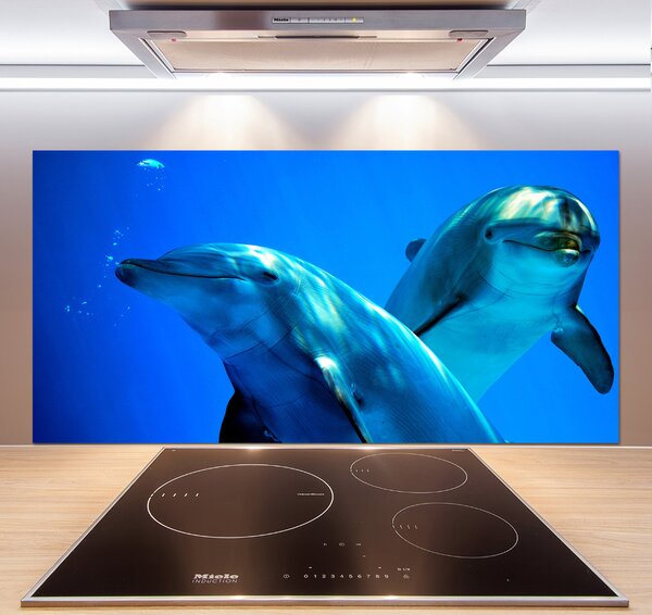Dekorační panel sklo Dva delfíni pksh-16277956