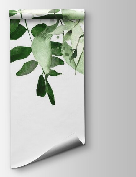 Fototapeta Elegantní design zelených listů na pozadí, Fototapety s listy, Populární fototapety, u72397 - Tapeko.co.cz