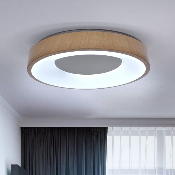 Brilagi - LED Stmívatelné stropní svítidlo DORIA LED/48W/230V 3000-6500K + DO