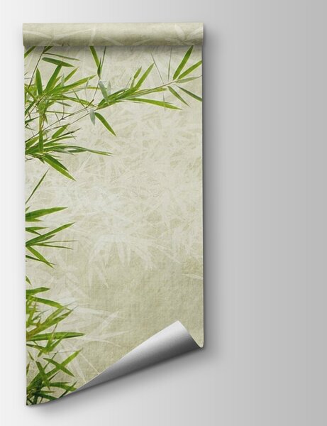 Fototapeta Svěží bambus na texturovaném pozadí, Designové fototapety na zeď, Populární fototapety, u72567 - Tapeko.co.cz
