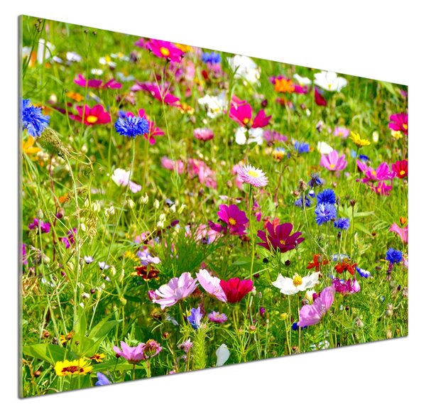 Dekorační panel sklo Plolní květiny pksh-169402975