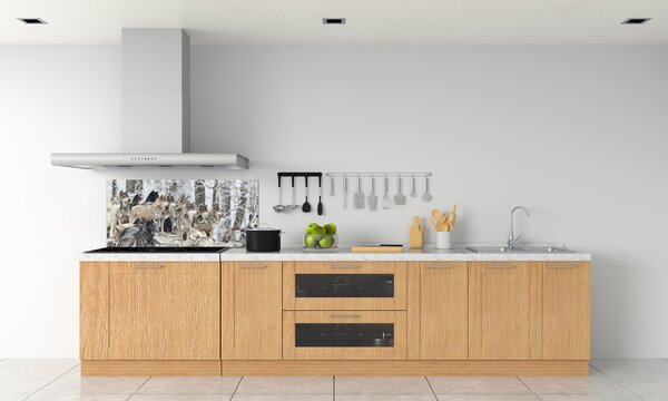 Dekorační panel sklo Vlci a zima pksh-171243935
