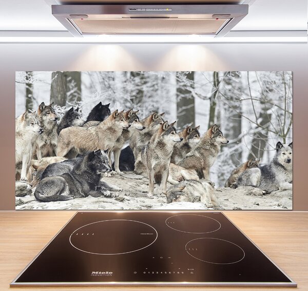 Dekorační panel sklo Vlci a zima pksh-171243935
