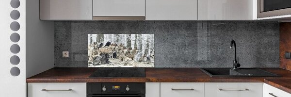Dekorační panel sklo Vlci a zima pksh-171243935