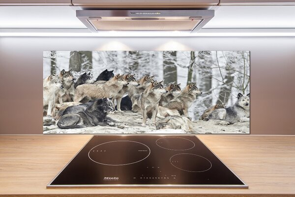 Dekorační panel sklo Vlci a zima pksh-171243935