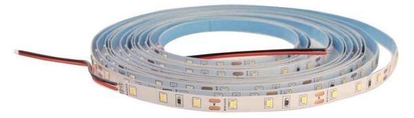 LED Stmívatelný pásek DAISY 5m studená bílá
