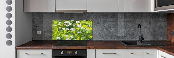 Skleněný panel do kuchynské linky Sedmikrásky pksh-172755393