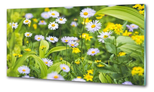 Skleněný panel do kuchynské linky Sedmikrásky pksh-172755393