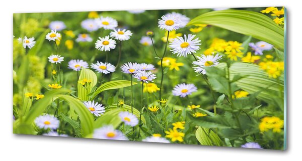 Skleněný panel do kuchynské linky Sedmikrásky pksh-172755393