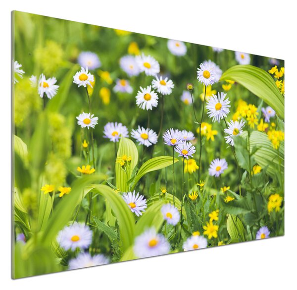 Skleněný panel do kuchynské linky Sedmikrásky pksh-172755393