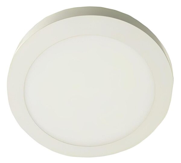 LED Stropní svítidlo GERRIT LED/12W/230V 4000K bílá