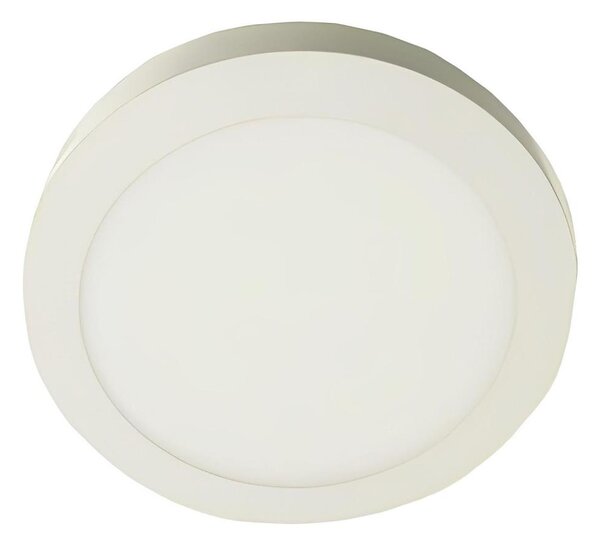 LED Stropní svítidlo GERRIT LED/12W/230V 3000K bílá