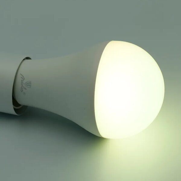 LED RGBW Stmívatelná žárovka A60 E27/15W/230V 2700-6500K Wi-Fi Tuya