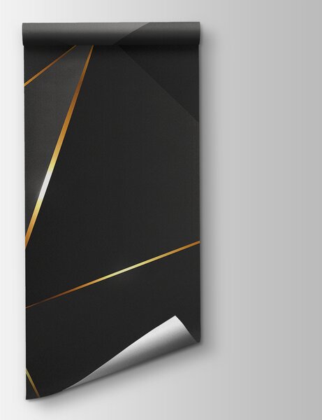Fototapeta Abstraktní tvary s třpytivými liniemi, 3D fototapety, Populární fototapety, u73616 - Tapeko.co.cz