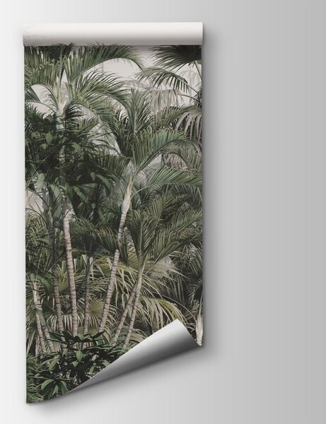 Fototapeta Skupina palem, 3D fototapety, Populární fototapety, u73796 - Tapeko.co.cz