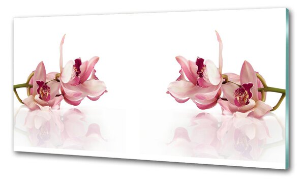 Skleněný panel do kuchynské linky Orchidej pksh-18886978