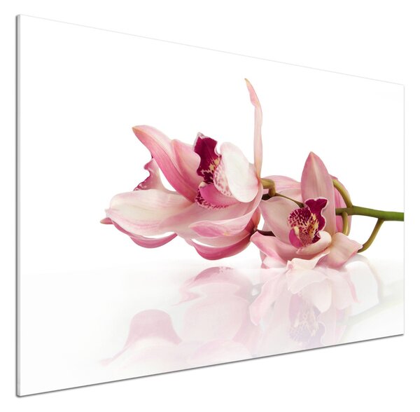 Skleněný panel do kuchynské linky Orchidej pksh-18886978