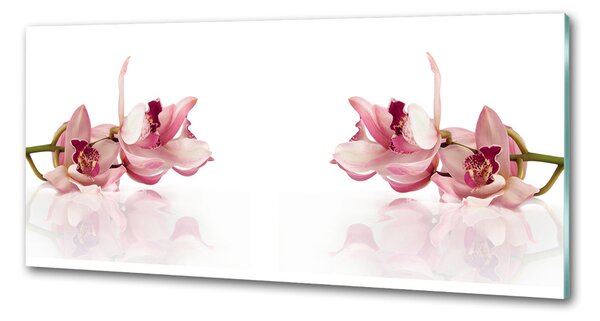 Skleněný panel do kuchynské linky Orchidej pksh-18886978