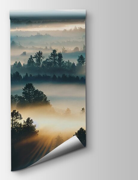 Fototapeta Mlžná krajina se stromy a horami, Designové fototapety na zeď, Populární fototapety, u73865 - Tapeko.co.cz