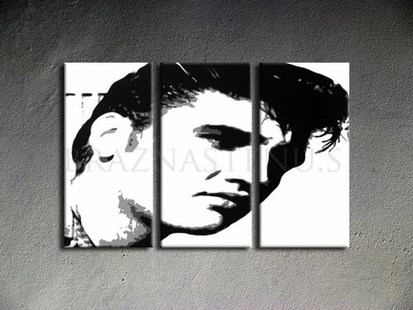 Ručně malovaný POP ART obraz ELVIS 120x80 cm