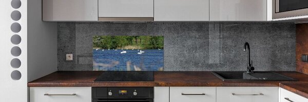 Panel do kuchyně Bílé labutě pksh-203819741