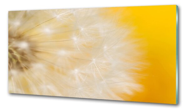 Dekorační panel sklo Pampeliška pksh-23051782