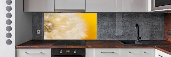 Dekorační panel sklo Pampeliška pksh-23051782
