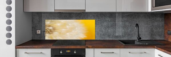 Dekorační panel sklo Pampeliška pksh-23051782
