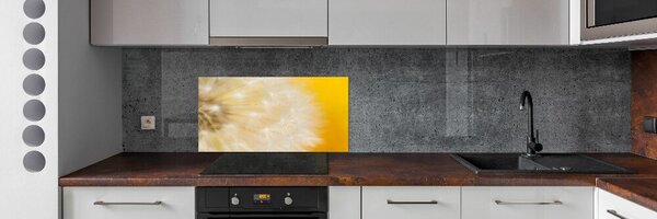 Dekorační panel sklo Pampeliška pksh-23051782