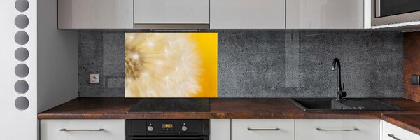 Dekorační panel sklo Pampeliška pksh-23051782