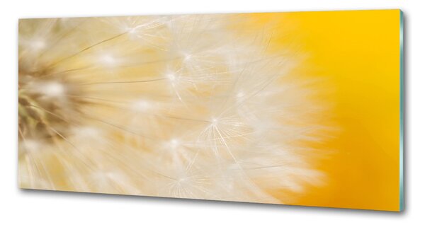Dekorační panel sklo Pampeliška pksh-23051782