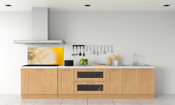 Dekorační panel sklo Pampeliška pksh-23051782