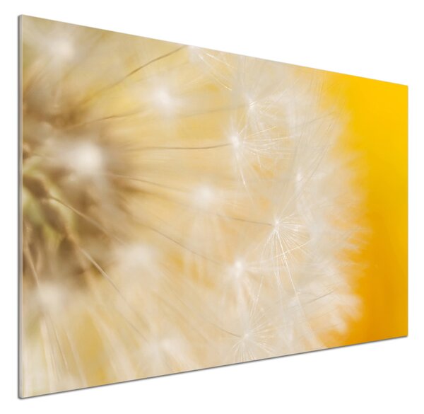 Dekorační panel sklo Pampeliška pksh-23051782