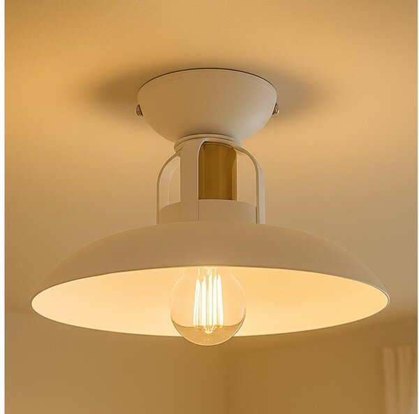 Brilagi - LED Přisazený lustr FLAMENGO 1xE27/60W/230V bílá