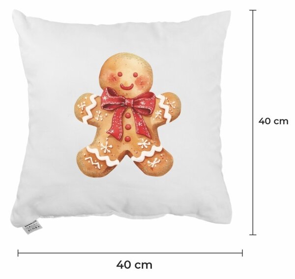 Vánoční polštář Ginger 40x40 cm EMI