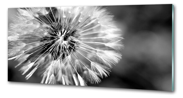 Skleněný panel do kuchynské linky Pampelišky pksh-23529298
