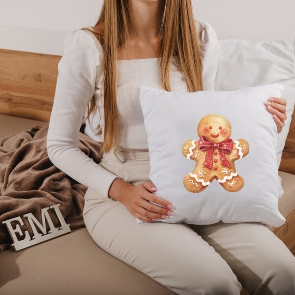 Vánoční polštář Ginger 40x40 cm EMI