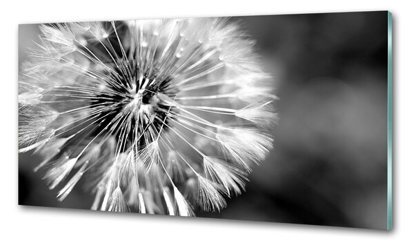 Skleněný panel do kuchynské linky Pampelišky pksh-23529298