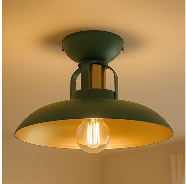 Brilagi - LED Přisazený lustr FLAMENGO 1xE27/60W/230V zelená