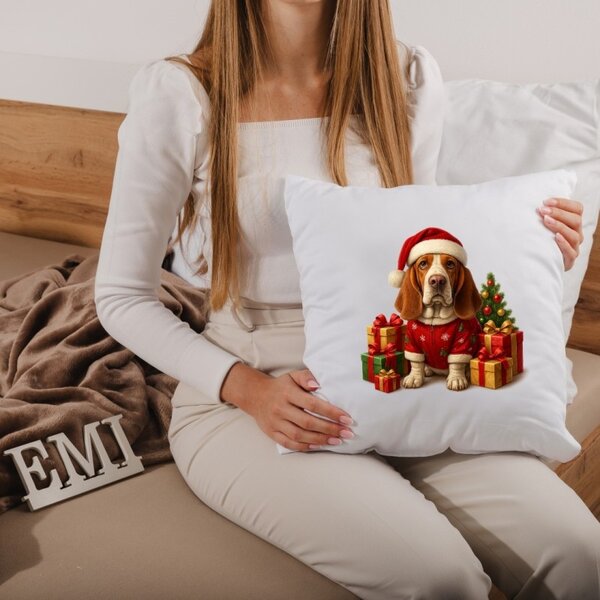 Vánoční polštář Buddy 40x40 cm EMI
