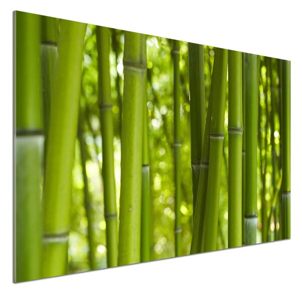 Skleněný panel do kuchyně Bambus pksh-24255297